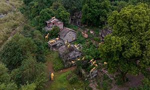 传统村落保护 | 佛山南海区：艺术赋能 探索城乡融合发展新路径