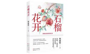 石榴花开照眼明——读何建明报告文学新作