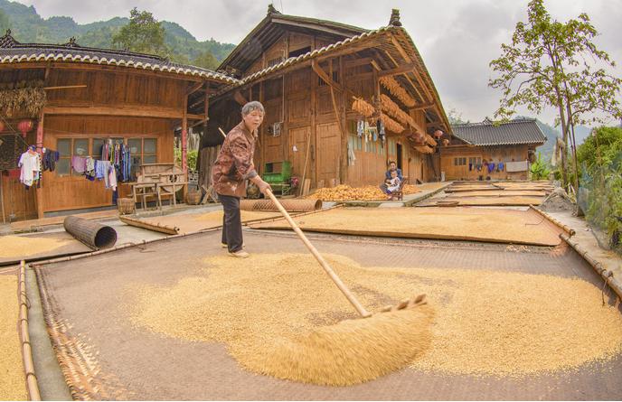 村民在吊脚楼前晒粮食.jpg