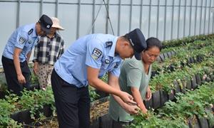 以温暖助力鲜花经济绽放芬芳