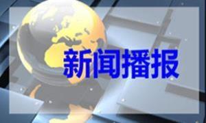 习近平同越共中央总书记、国家主席苏林会谈